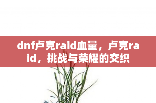 dnf卢克raid血量，卢克raid，挑战与荣耀的交织