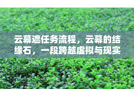 云幕遮任务流程，云幕的结缘石，一段跨越虚拟与现实的浪漫传奇