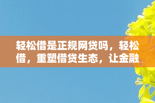 轻松借是正规网贷吗，轻松借，重塑借贷生态，让金融更便捷