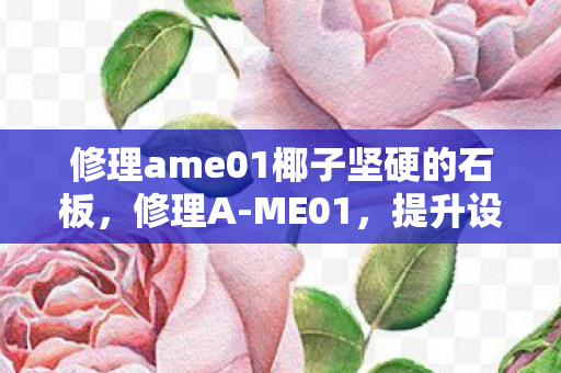 修理ame01椰子坚硬的石板，修理A-ME01，提升设备性能与延长使用寿命的实用指南