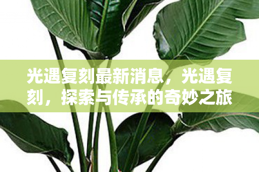 光遇复刻最新消息，光遇复刻，探索与传承的奇妙之旅