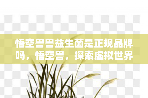 悟空兽兽益生菌是正规品牌吗，悟空兽，探索虚拟世界的奇妙之旅