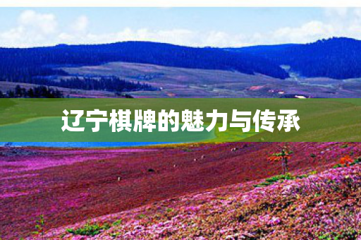 辽宁棋牌的魅力与传承