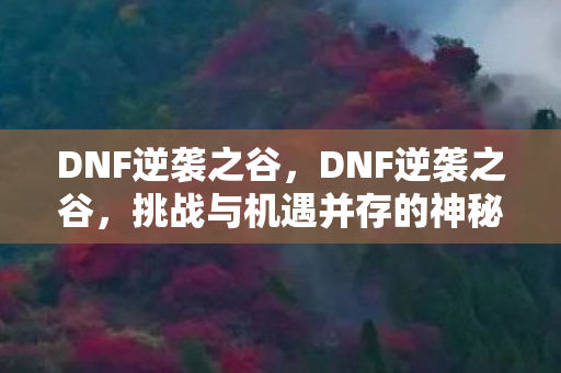 DNF逆袭之谷，DNF逆袭之谷，挑战与机遇并存的神秘领域
