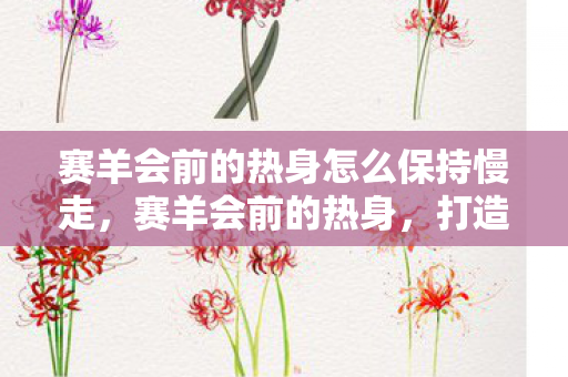 赛羊会前的热身怎么保持慢走，赛羊会前的热身，打造你的游戏之旅