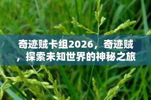 奇迹贼卡组2026，奇迹贼，探索未知世界的神秘之旅