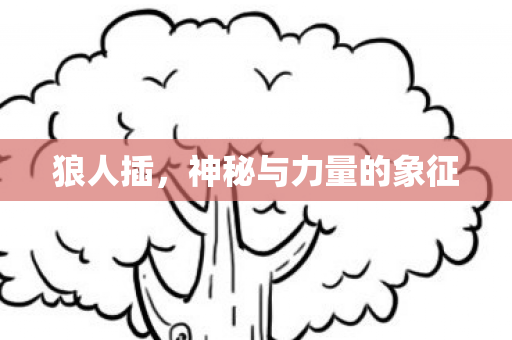 狼人插，神秘与力量的象征