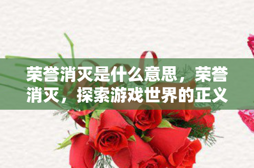 荣誉消灭是什么意思，荣誉消灭，探索游戏世界的正义之战