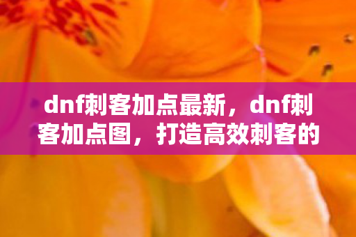 dnf刺客加点最新，dnf刺客加点图，打造高效刺客的加点策略