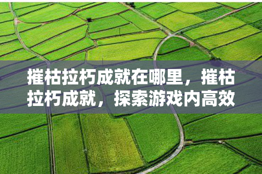 摧枯拉朽成就在哪里，摧枯拉朽成就，探索游戏内高效成就策略