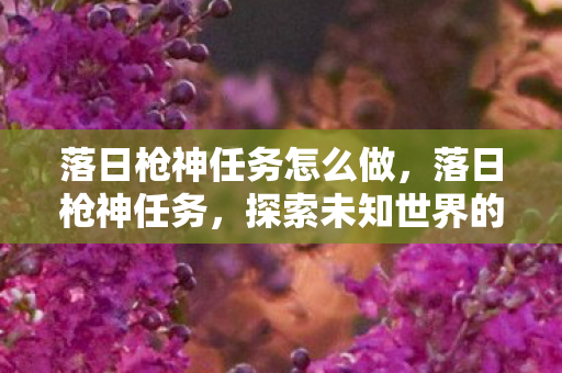 落日枪神任务怎么做，落日枪神任务，探索未知世界的奇幻之旅