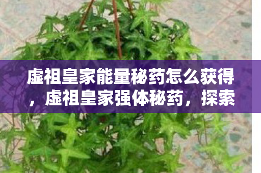 虚祖皇家能量秘药怎么获得，虚祖皇家强体秘药，探索古老秘方的现代奇迹