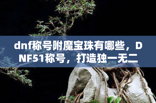 dnf称号附魔宝珠有哪些，DNF51称号，打造独一无二的游戏身份标识
