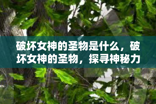 破坏女神的圣物是什么，破坏女神的圣物，探寻神秘力量的源泉