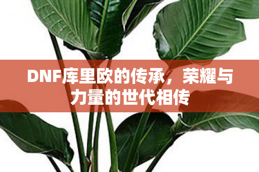 DNF库里欧的传承，荣耀与力量的世代相传