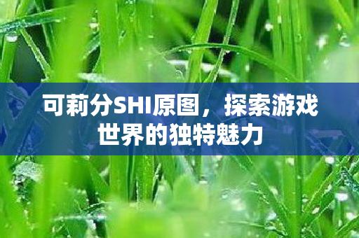 可莉分SHI原图，探索游戏世界的独特魅力