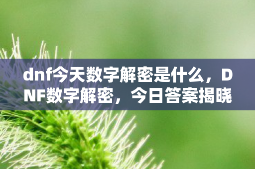 dnf今天数字解密是什么，DNF数字解密，今日答案揭晓