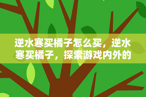 逆水寒买橘子怎么买，逆水寒买橘子，探索游戏内外的经济生态