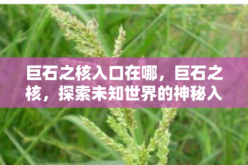 巨石之核入口在哪，巨石之核，探索未知世界的神秘入口