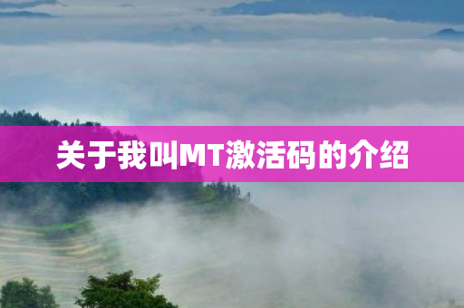 关于我叫MT激活码的介绍