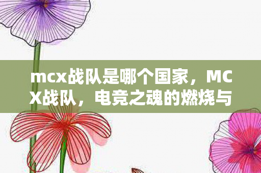mcx战队是哪个国家，MCX战队，电竞之魂的燃烧与传承