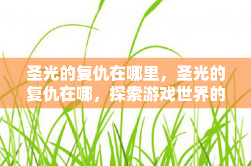 圣光的复仇在哪里，圣光的复仇在哪，探索游戏世界的神秘之地