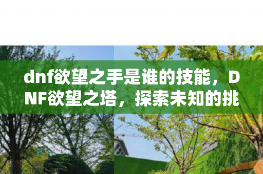dnf欲望之手是谁的技能，DNF欲望之塔，探索未知的挑战之地