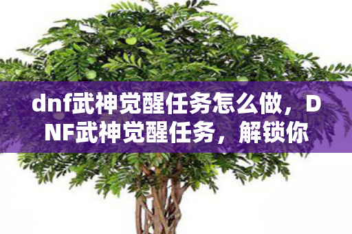 dnf武神觉醒任务怎么做，DNF武神觉醒任务，解锁你的战斗潜能