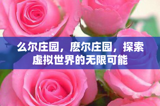 么尔庄园，麽尔庄园，探索虚拟世界的无限可能