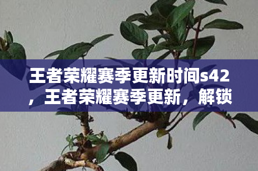 王者荣耀赛季更新时间s42，王者荣耀赛季更新，解锁新挑战，迎接荣耀时刻