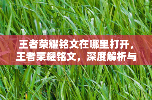 王者荣耀铭文在哪里打开，王者荣耀铭文，深度解析与搭配建议