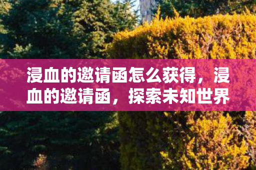 浸血的邀请函怎么获得，浸血的邀请函，探索未知世界的神秘邀请