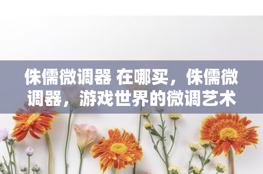 侏儒微调器 在哪买，侏儒微调器，游戏世界的微调艺术