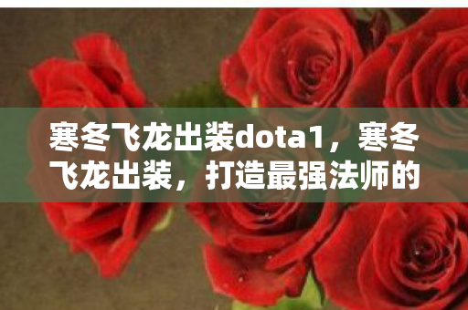 寒冬飞龙出装dota1，寒冬飞龙出装，打造最强法师的装备指南
