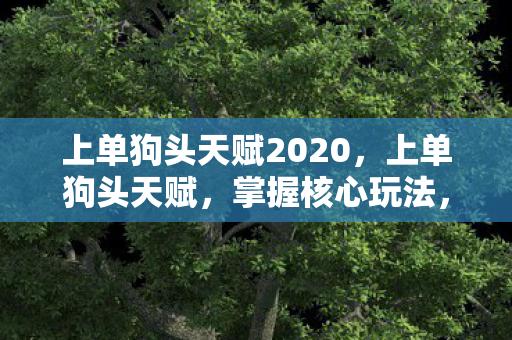 上单狗头天赋2020，上单狗头天赋，掌握核心玩法，称霸上路