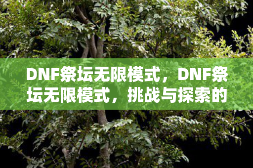 DNF祭坛无限模式，DNF祭坛无限模式，挑战与探索的无限可能