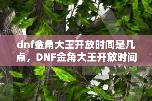 dnf金角大王开放时间是几点，DNF金角大王开放时间揭秘，限时挑战，精彩不停歇