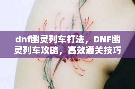 dnf幽灵列车打法，DNF幽灵列车攻略，高效通关技巧与策略