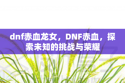dnf赤血龙女，DNF赤血，探索未知的挑战与荣耀