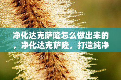 净化达克萨隆怎么做出来的，净化达克萨隆，打造纯净游戏环境的策略与步骤