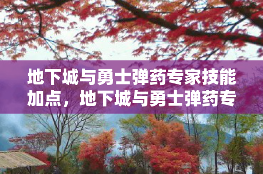 地下城与勇士弹药专家技能加点，地下城与勇士弹药专家加点策略