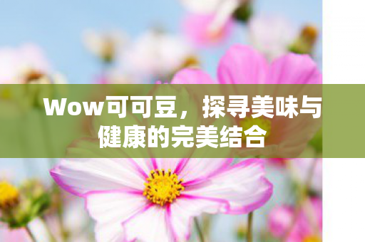 Wow可可豆，探寻美味与健康的完美结合