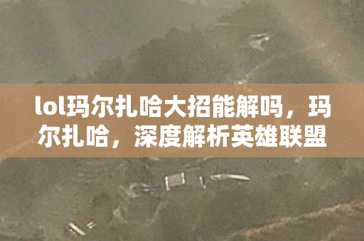 lol玛尔扎哈大招能解吗，玛尔扎哈，深度解析英雄联盟中的虚空掠夺者