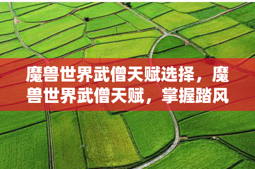 魔兽世界武僧天赋选择，魔兽世界武僧天赋，掌握踏风与酒仙的奥秘