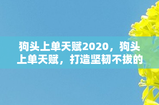 狗头上单天赋2020，狗头上单天赋，打造坚韧不拔的战士之路