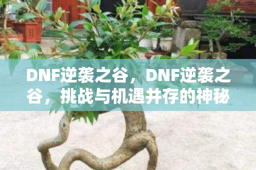 DNF逆袭之谷，DNF逆袭之谷，挑战与机遇并存的神秘之地