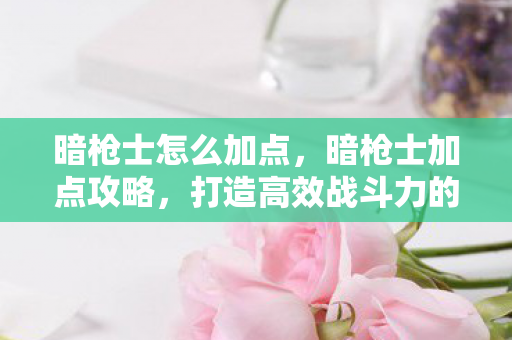 暗枪士怎么加点，暗枪士加点攻略，打造高效战斗力的关键