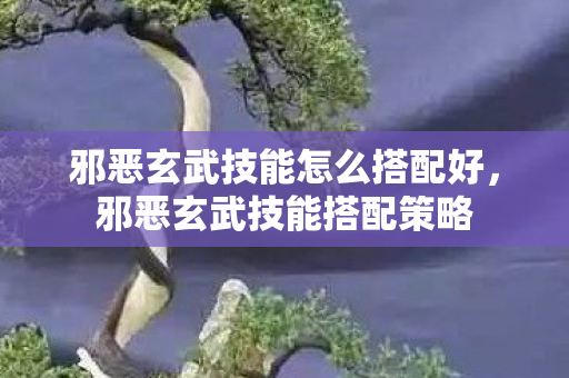 邪恶玄武技能怎么搭配好，邪恶玄武技能搭配策略