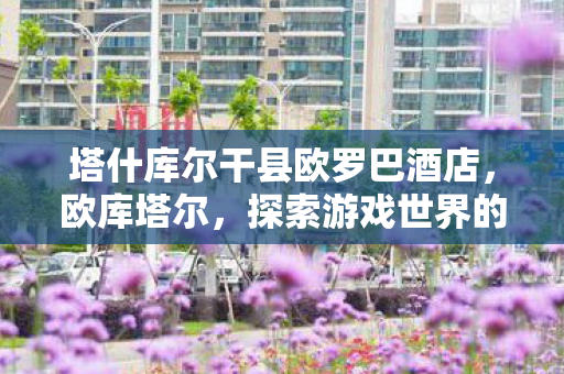 塔什库尔干县欧罗巴酒店，欧库塔尔，探索游戏世界的无限可能