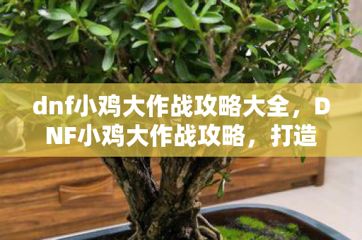 dnf小鸡大作战攻略大全，DNF小鸡大作战攻略，打造最强战斗鸡，称霸竞技场！